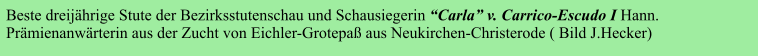 Beste dreijährige Stute der Bezirksstutenschau und Schausiegerin “Carla” v. Carrico-Escudo I Hann. Prämienanwärterin aus der Zucht von Eichler-Grotepaß aus Neukirchen-Christerode ( Bild J.Hecker)